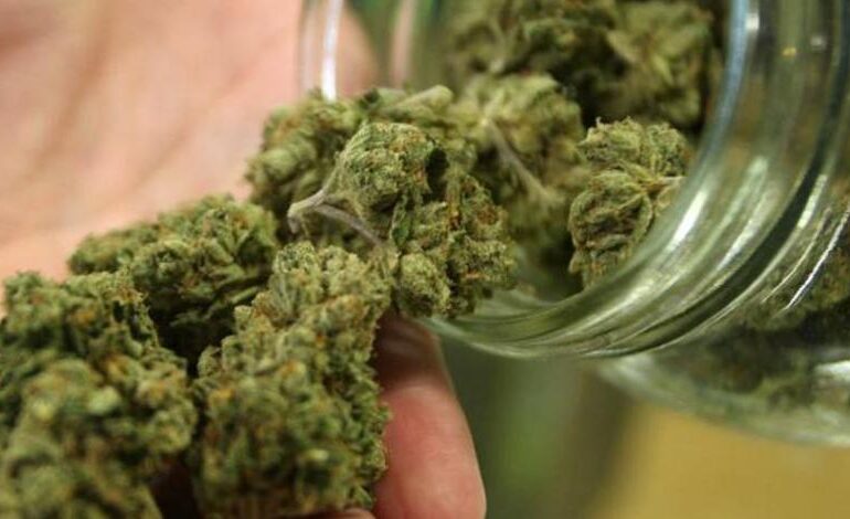 Divide a la oposición dictamen sobre mariguana lúdica; se vota esta semana