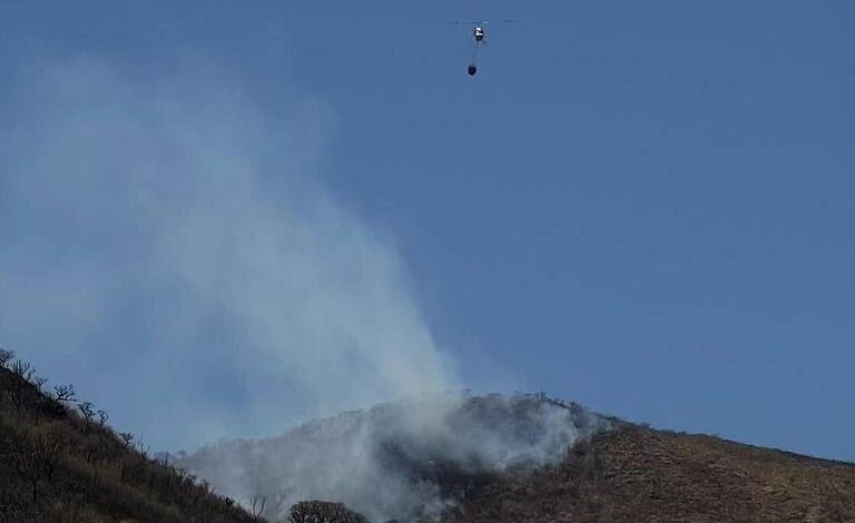 Hubo cuatro incendios forestales en Jalisco; uno fue en el Nevado de Colima