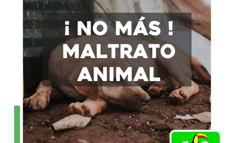 PARTIDO VERDE APRUEBA LEYES DE PROTECCIÓN ANIMAL PARA GARANTIZAR LA SEGURIDAD DE NUESTRAS MASCOTAS