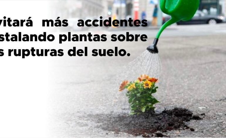 El Partido Verde crea campaña para intervenir los baches de la Ciudad de México
