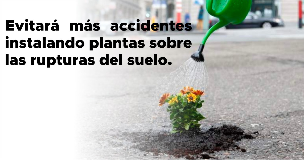 El Partido Verde crea campaña para intervenir los baches de la Ciudad de México