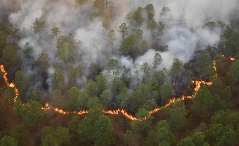 Anuncia Gobernador Enrique Alfaro plan para combatir incendios