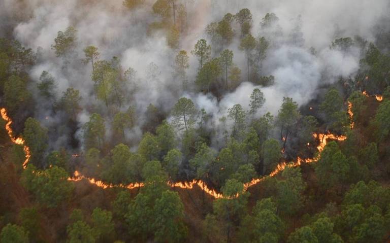 Anuncia Gobernador Enrique Alfaro plan para combatir incendios