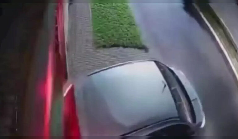 Argentina: ladrones balean a perrito y golpean a dueña de la tercera edad