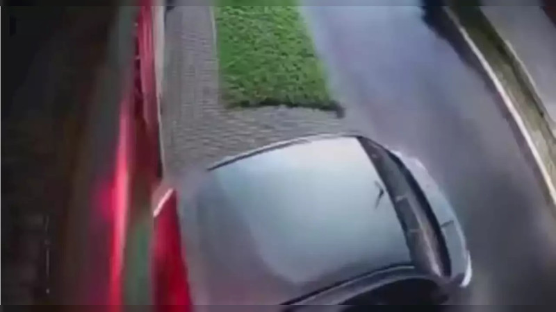 Argentina: ladrones balean a perrito y golpean a dueña de la tercera edad