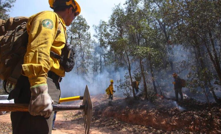 Frente a la devastación por 29 incendios diarios, menos presupuesto y equipo para Conafor
